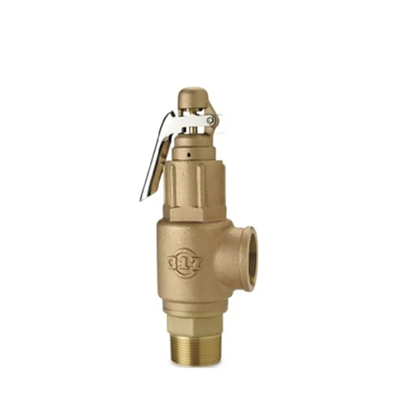 Bronze Safety Valve3