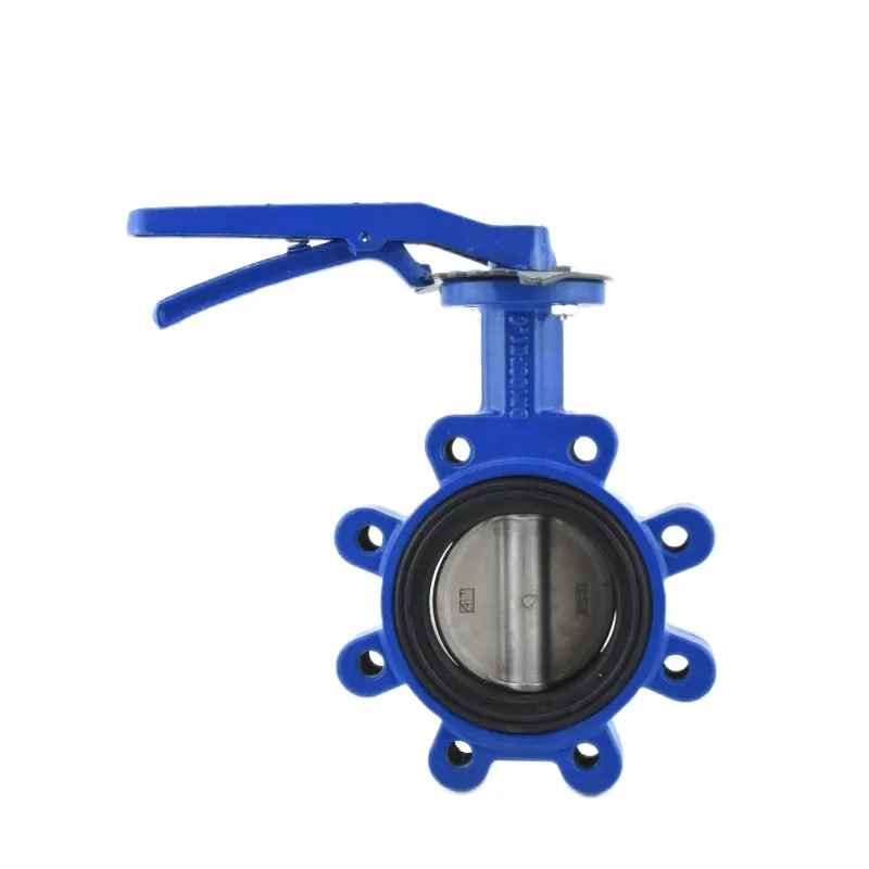 Manual Cast Iron Lug Butterfly Valve4