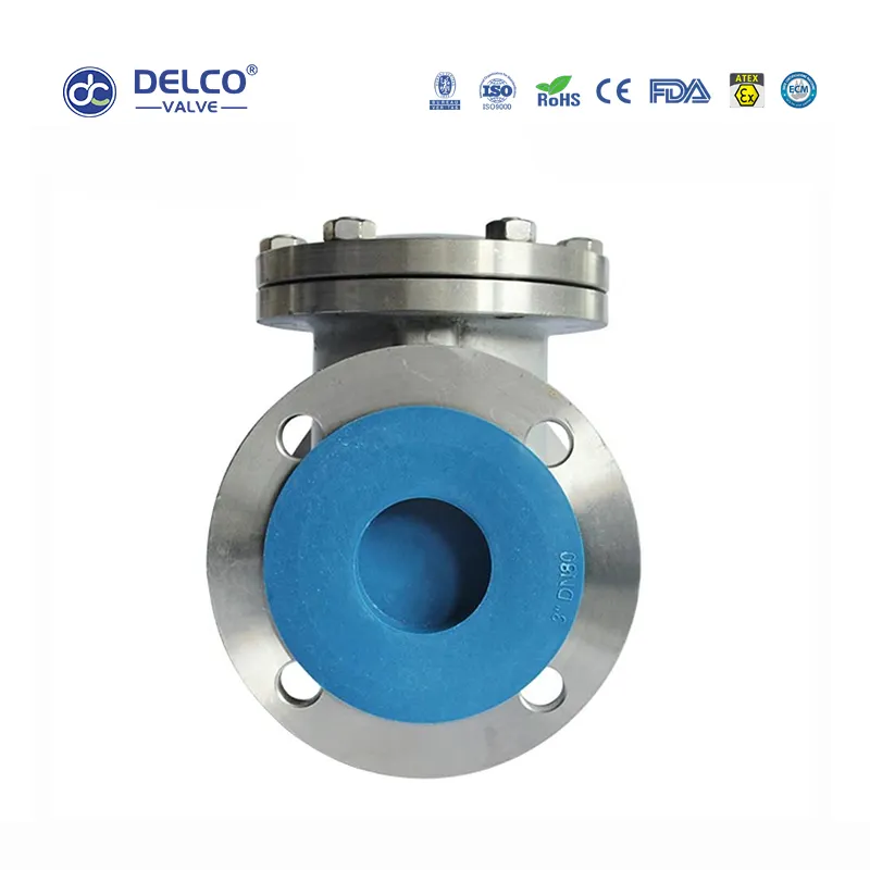 Swing Flanged Check Valve 5