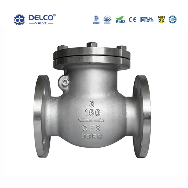 Swing Flanged Check Valve 2