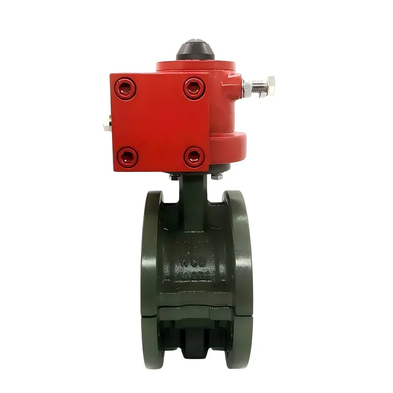 DELCO MYD-DCF Hydraulic Fluorine-Lined Cast Steel Flanged Butterfly Valve for Strong Acid & Alkali Service 3